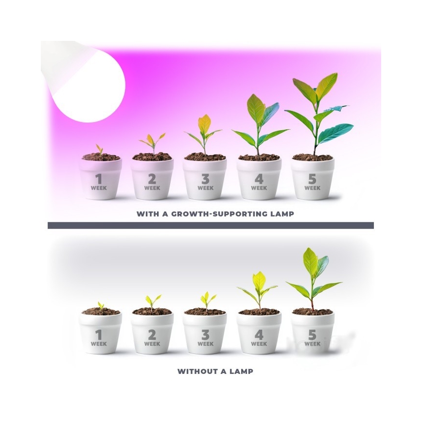 LED Kasvivalaisin PLANTY E27/11W/230V 1200K valkoinen