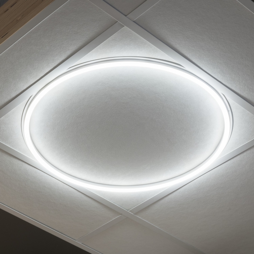 LED-kattokehys AVAR LED/40W/230V 4000K halkaisija 59 cm