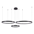 LED-kattokruunu johdossa 3xLED/19W/230V 3000K musta