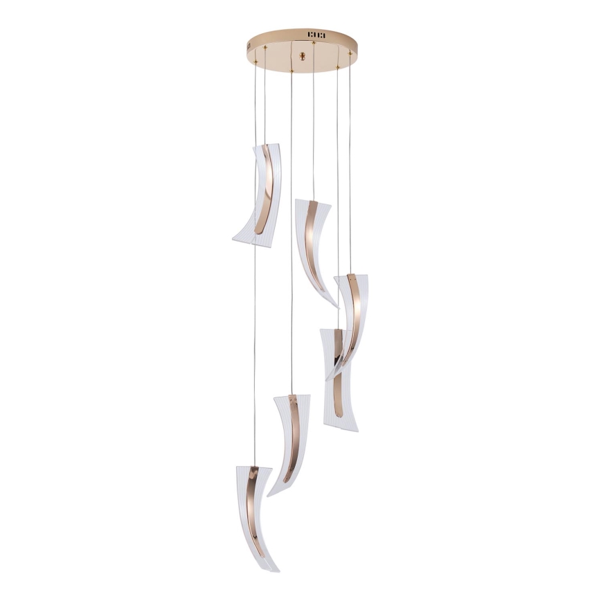 LED-kattokruunu johdossa 6xLED/10W/230V 3000K
