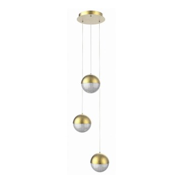 LED Kattokruunu johdossa FURNI 3xLED/5W/230V kulta