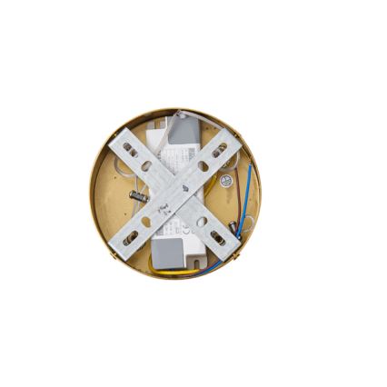 LED-kattokruunu johdossa LED/19W/230V 3000K