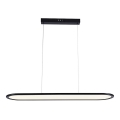 LED-kattokruunu johdossa LED/24W/230V 3000K musta