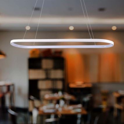 LED-kattokruunu johdossa LED/24W/230V 3000K valkoinen