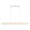 LED-kattokruunu johdossa LED/24W/230V 3000K valkoinen
