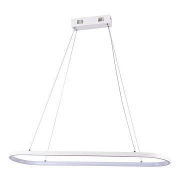 LED-kattokruunu johdossa LED/24W/230V 4000K valkoinen