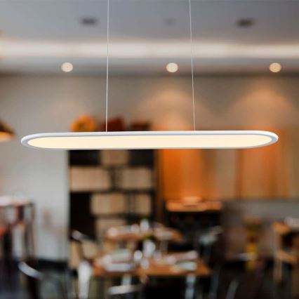 LED-kattokruunu johdossa LED/24W/230V 4000K valkoinen