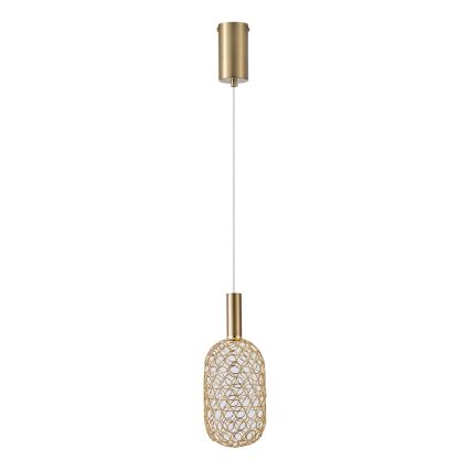 LED-kattokruunu johdossa LED/6,3W/230V 3000K kulta halkaisija 20 cm