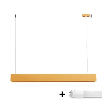 LED-kattokruunu johdossa SPARK 1xG13/8,5W/230V kulta