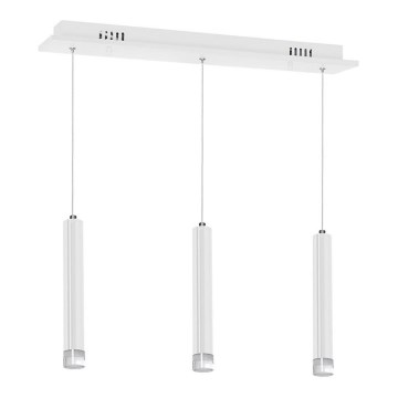 LED-kattokruunu narussa ALBA 3xLED/15W/230V valkoinen