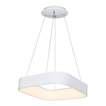 LED-kattokruunu narussa ASTRO 1xLED/24W/230V