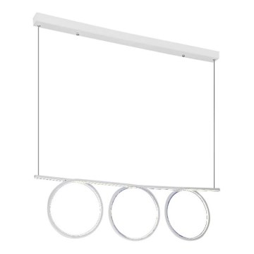 LED-kattokruunu narussa LOOP 3xLED/20W/230V valkoinen