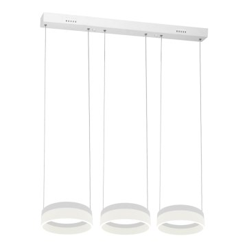 LED-kattokruunu narussa RING 3xLED/12W/230V
