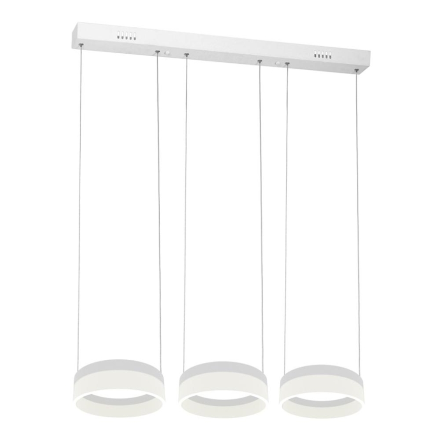 LED-kattokruunu narussa RING 3xLED/12W/230V