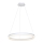 LED-kattokruunu narussa RING LED/36W/230V