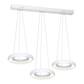 LED-kattokruunu narussa RONDO 3xLED/12W/230V