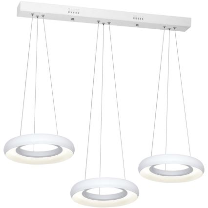 LED-kattokruunu narussa RONDO 3xLED/12W/230V