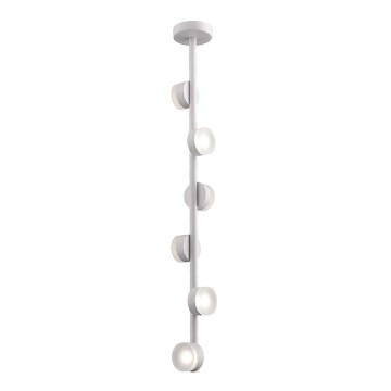 LED-kattokruunu tangossa COMFORT 6xLED/5W/230V valkoinen