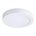 LED-kattovalaisin, 18 W, 230 V, 3000/4000/6000 K, Ø 22,5 cm, valkoinen