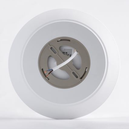 LED-kattovalaisin anturilla AVESTA LED/12W/230V 4000K IP54