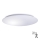 LED-kattovalaisin anturilla AVESTA LED/45W/230V 4000K IP54
