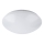 LED-kattovalaisin anturilla LED/12W/230V 4000K