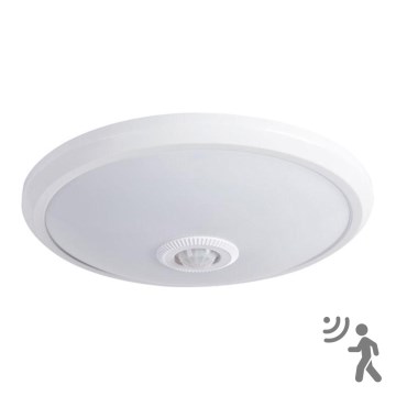 LED-kattovalaisin anturilla LED/14W/230V 4000K