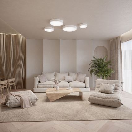 LED Kattovalaisin CLEO LED/24W/230V 4000K halkaisija 30 cm valkoinen