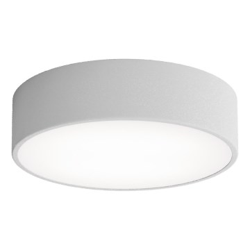 LED-kattovalaisin CLEO LED/24W/230V 3000K halkaisija 30 cm harmaa