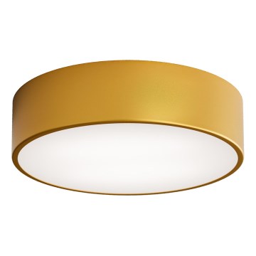 LED-kattovalaisin CLEO LED/24W/230V 3000K halkaisija 30 cm kulta