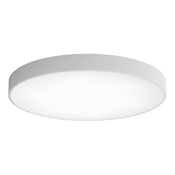 LED-kattovalaisin CLEO LED/96W/230V 4000K halkaisija 80 cm harmaa
