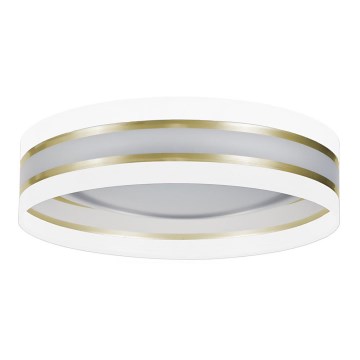 LED-kattovalaisin CORAL GOLD 1xLED/20W/230V valkoinen/kultainen