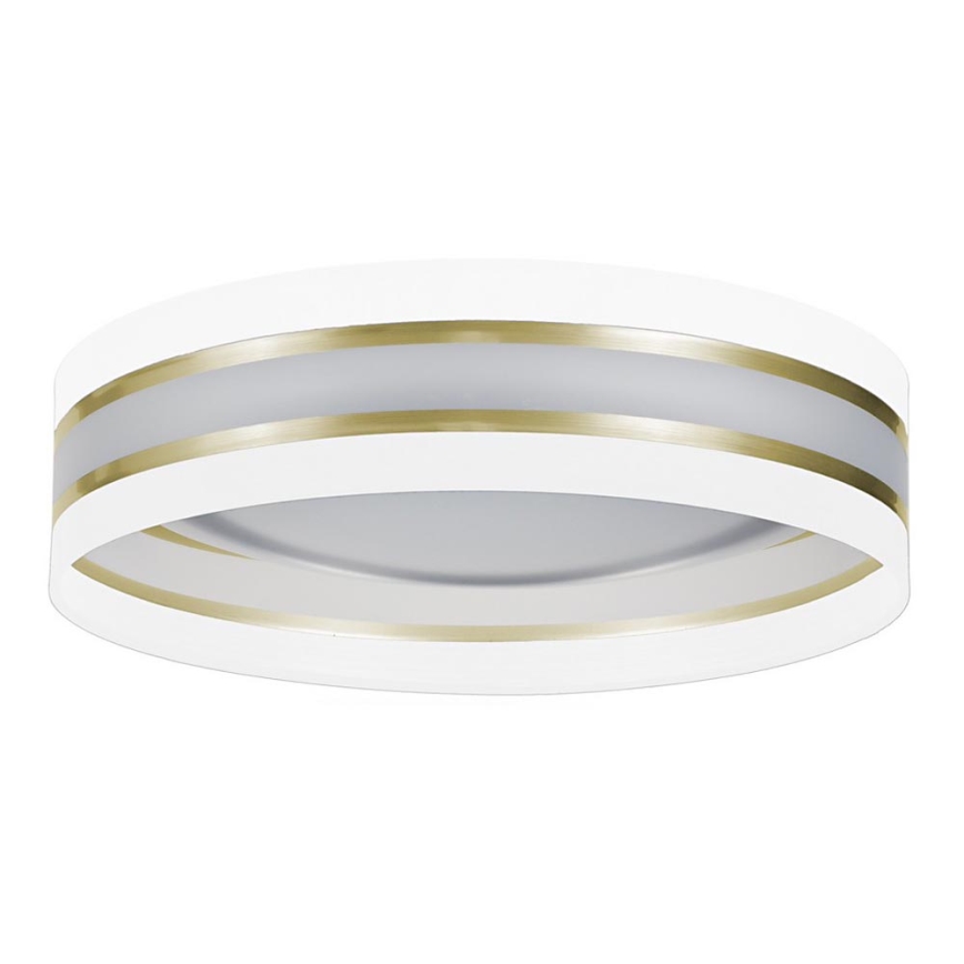 LED-kattovalaisin CORAL GOLD 1xLED/20W/230V valkoinen/kultainen