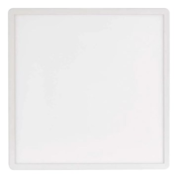 LED-kattovalaisin FLORI LED/22W/230V 4000K valkoinen 42x42 cm