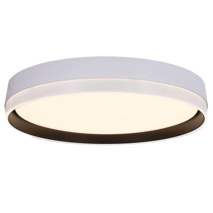 LED-kattovalaisin FLORIDA LED/24W/230V valkoinen
