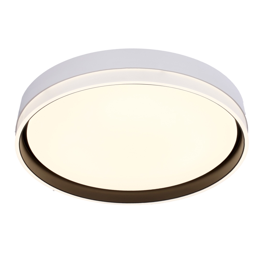 LED-kattovalaisin FLORIDA LED/24W/230V valkoinen