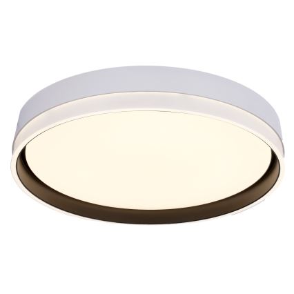LED-kattovalaisin FLORIDA LED/24W/230V valkoinen