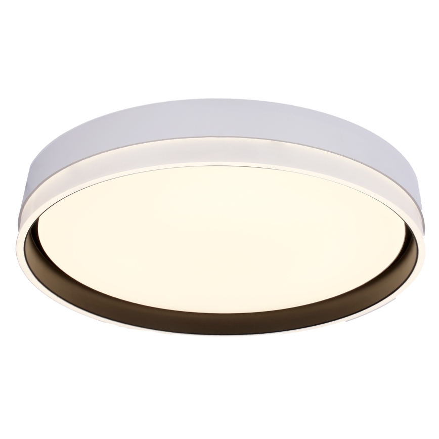 LED-kattovalaisin FLORIDA LED/24W/230V valkoinen