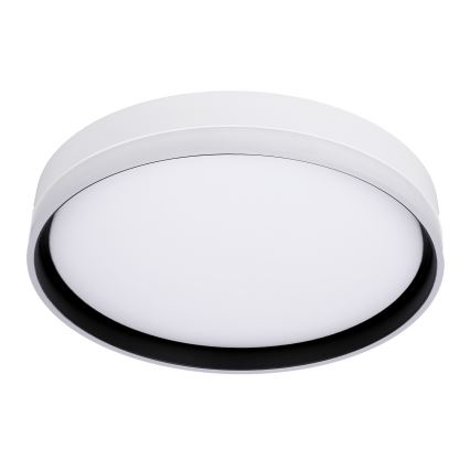 LED-kattovalaisin FLORIDA LED/24W/230V valkoinen