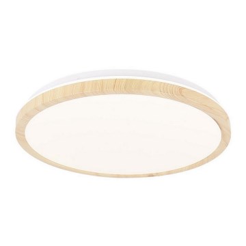LED-kattovalaisin GANDAVA LED/18W/230V