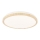 LED-kattovalaisin GANDAVA LED/18W/230V
