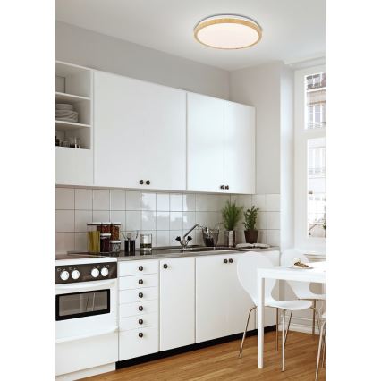 LED-kattovalaisin GANDAVA LED/18W/230V