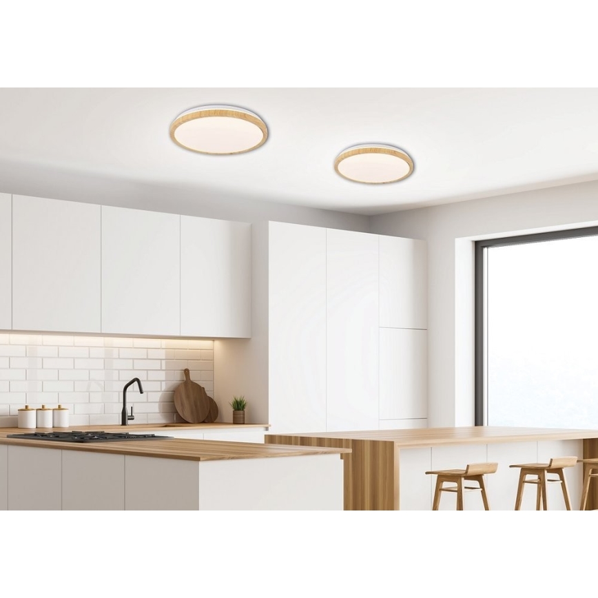 LED-kattovalaisin GANDAVA LED/18W/230V