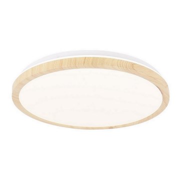 LED-kattovalaisin GANDAVA LED/24W/230V