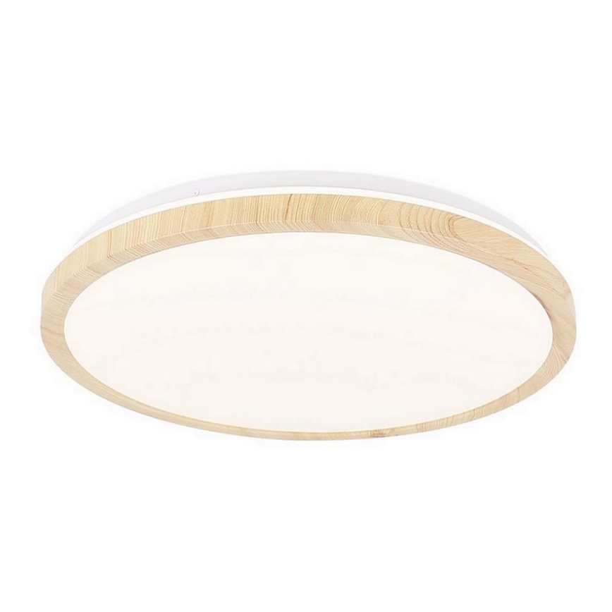 LED-kattovalaisin GANDAVA LED/24W/230V