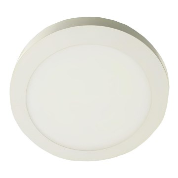 LED-kattovalaisin GERRIT LED/12W/230V 4000K valkoinen