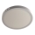 LED-kattovalaisin GERRIT LED/24W/230V 4000K valkoinen