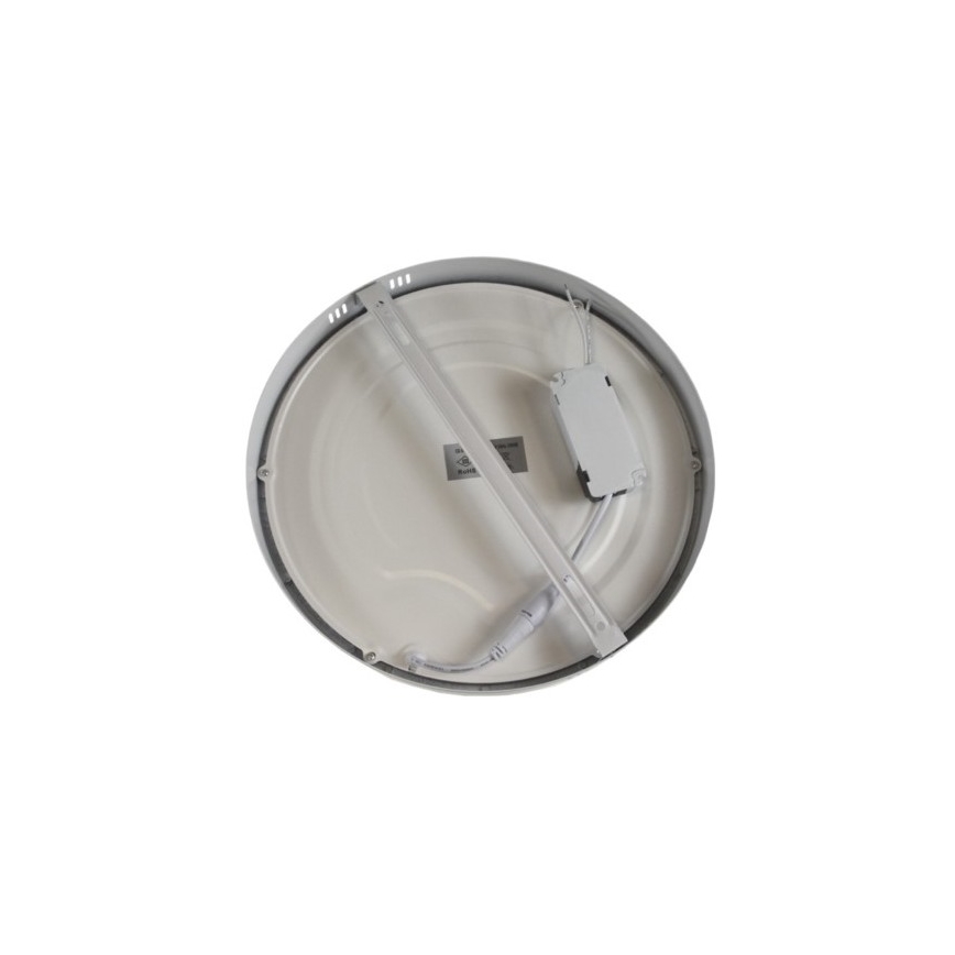 LED-kattovalaisin GERRIT LED/24W/230V 6500K valkoinen