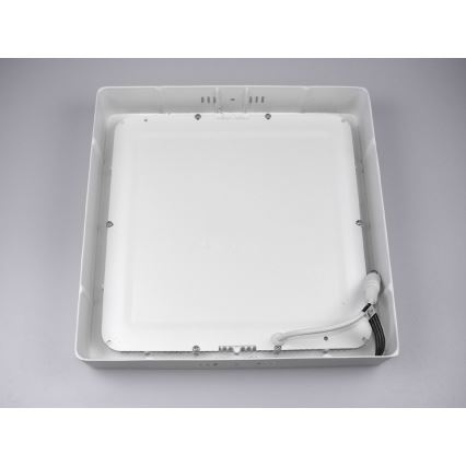 LED-kattovalaisin GERRY LED/24W/230V 6000K