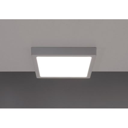 LED-kattovalaisin GERRY LED/6W/230V 3000K